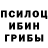 Псилоцибиновые грибы Psilocybine cubensis Olena Rakhmanova
