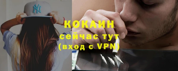 амф Арсеньев