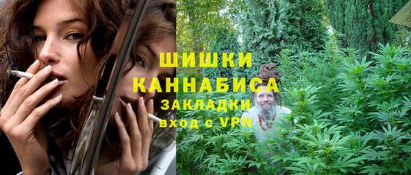 амф Арсеньев