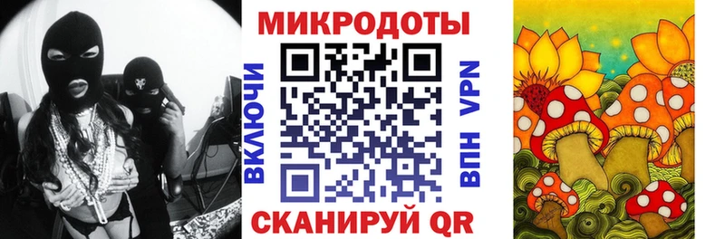 Купить закладки  Электрогорск  Псилоцибиновые грибы мухоморы 